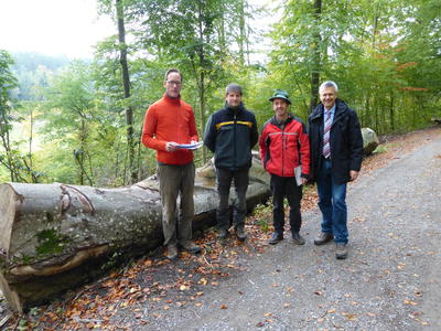Bild vergr&ouml;&szlig;ern: T&Uuml;V Rheinland bescheinigt nachhaltige und pflegliche Waldbewirtschaftung im Gemeindewald Gechingen