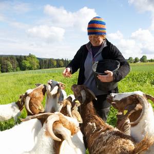 Bild vergr&ouml;&szlig;ern: Landschaftsplegeprojekte stehen im Vordergrund
