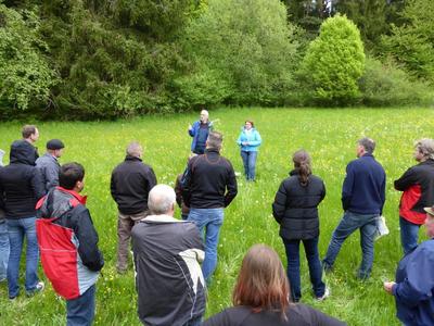 Bild vergr&ouml;&szlig;ern: Wiese ist nicht gleich Wiese