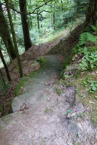 Bild vergr&ouml;&szlig;ern: Naturschutzwarte wandern