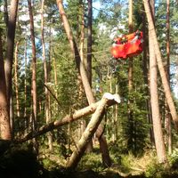 Bild vergr&ouml;&szlig;ern: Bild 2: Der Laufwagen transportiert die St&auml;mme an den Fahrweg ohne dass der Waldboden befahren wird.