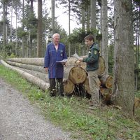 Bild vergr��ern: Holz�bergabe im Wald