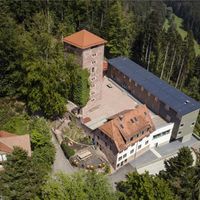 Bild vergr&ouml;&szlig;ern: Burg Hornberg, mit Waldschulheim