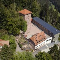 Bild vergrößern: Burg Hornberg, mit Waldschulheim