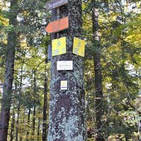 Bild vergr��ern: Schilderwald