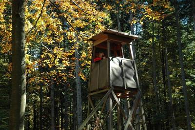 Bild vergr&ouml;&szlig;ern: Ein J&auml;ger auf dem Hochsitz, der bereits Wild anfokussiert. 