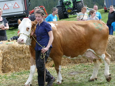 Bild vergrößern: Pensi, die schönste Kuh im Kreis Calw geführt von Annemarie Heinzmann aus Oberkollwangen.