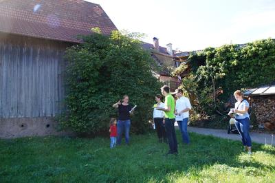 Bild vergrößern: Hinter der Dorfscheune in Bieselsberg 