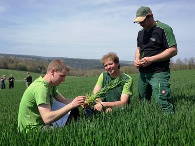 Bild vergr&ouml;&szlig;ern: Unter dem kritischen Blick der Pr&uuml;fer Andreas Lamparth und Stefan Sch&auml;fer (v.r.) stellte Pr&uuml;fling Markus Schaible (links) im Rahmen der praktischen Zwischenpr&uuml;fung zum Erwerb des Gesellenbriefs als Landwirt sein Wissen unter Beweis.