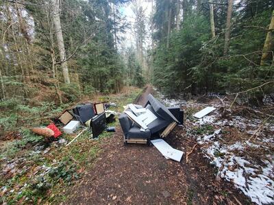 Bild vergr&ouml;&szlig;ern: Wilder M&uuml;ll im Wald bei Calw-Altburg: Verursacher identifiziert, Stadt Calw
