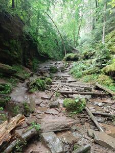 Bild vergr&ouml;&szlig;ern: Ziegler, Landratsamt Calw