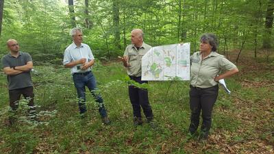 Bild vergr&ouml;&szlig;ern: 2022-05-31 PM Waldrefugien Gechingen