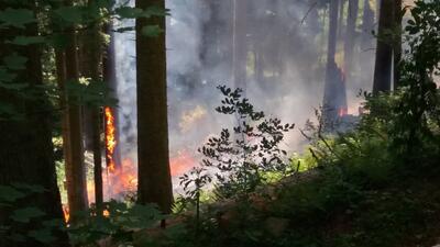 Landratsamt warnt vor andauernder Waldbrandgefahr durch langanhaltende W&auml;rme und Trockenheit